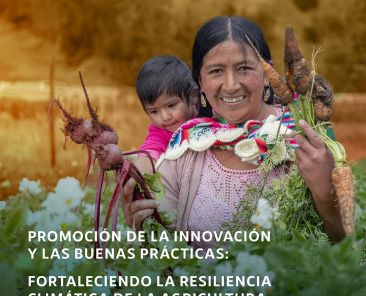 portv1 buenas practicas