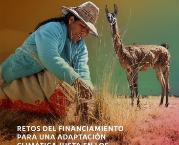 portv1 retos financiamiento