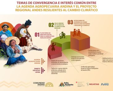 TEMAS DE CONVERGENCIA